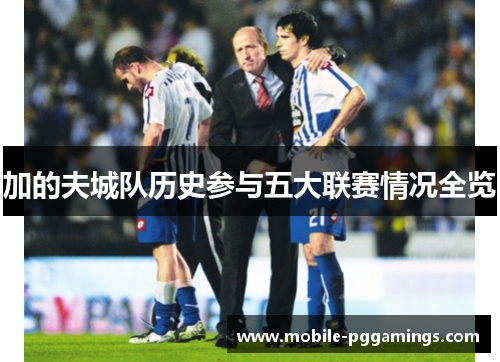加的夫城队历史参与五大联赛情况全览
